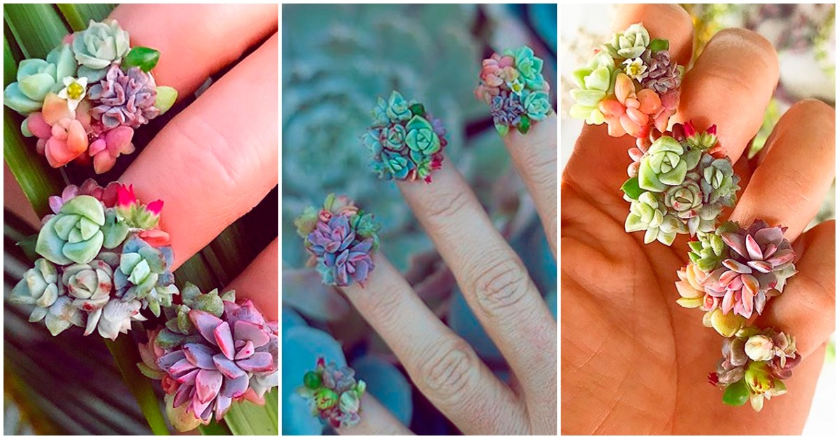 Manicura de suculentas ¡vivas! La última moda