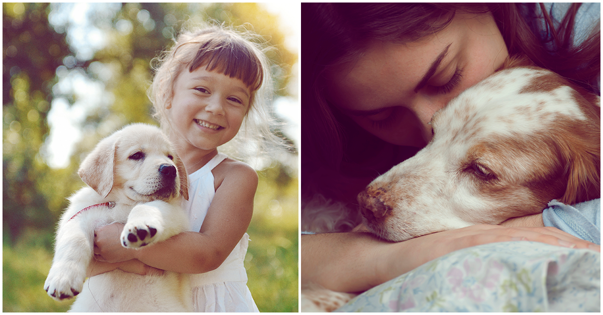 Carta de una mascota a su dueño